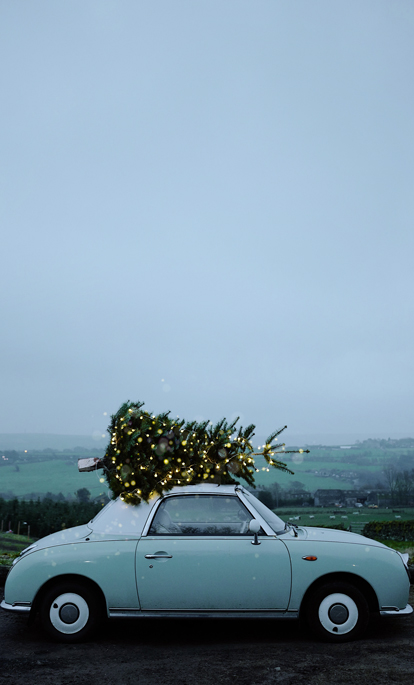 Weihnachten & Silvester