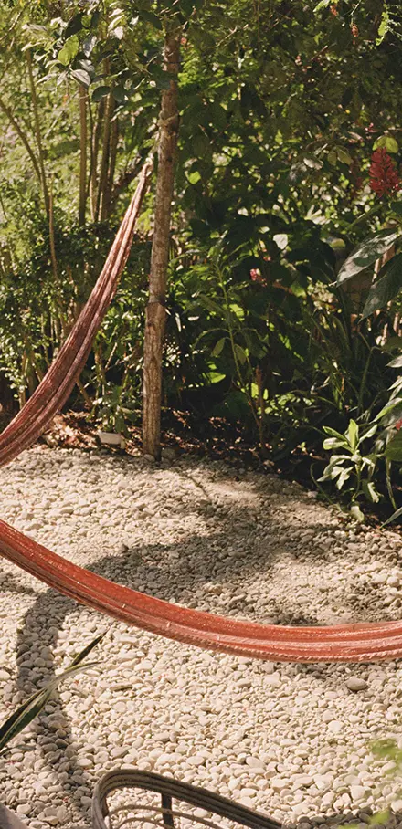 Auf Reisen im Februar