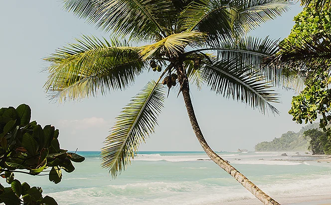 Wohin soll Ihre Reise im Juni gehen?