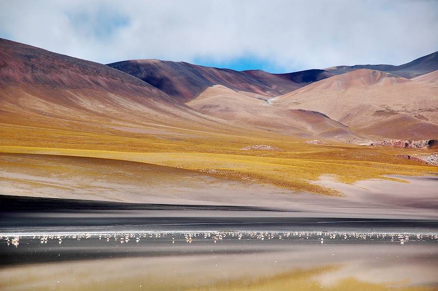 Quebrada de las Conchas - Cafayate - Province de Salta - Argentine