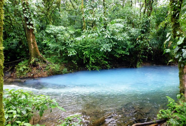 Rio Celeste - Gira Monteverde - Costa Rica