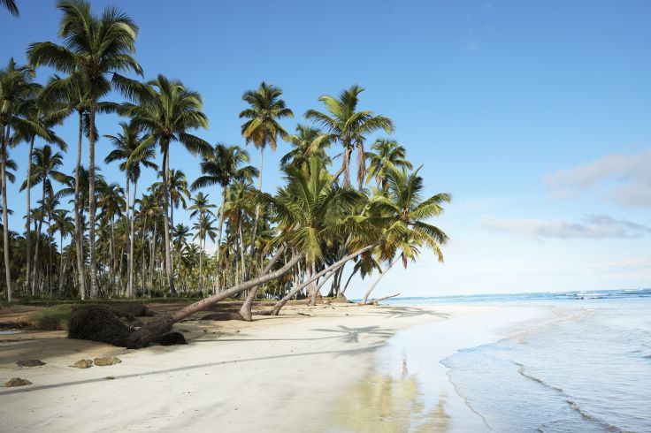 Las Ballenas - Péninsule de Samana - République Dominicaine