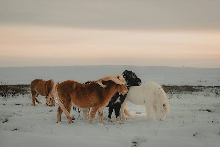 Islande © Gantas Vaiciulénas / Unsplash.com