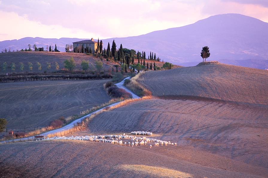 Région de Sienne - Toscane - Italie © Tuul et Bruno Morandi