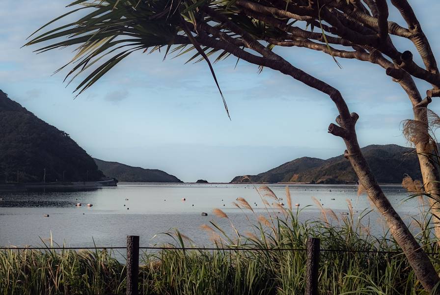 Amami Oshima - Kagoshima - Japon © Christopher Politano / Pexels.com