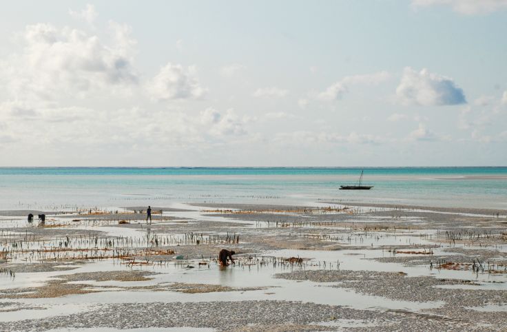 Voyage Au Kenya Et à à Zanzibar Mont Kenya Lac Naivasha