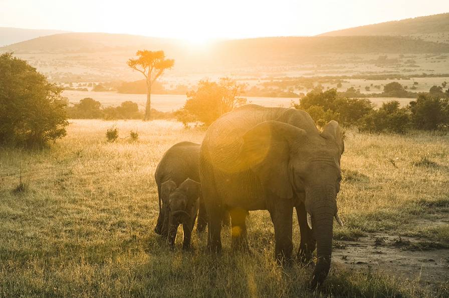 Kenya © Harshil Gudka / Unsplash.com