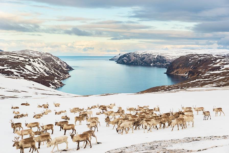Tufjorden - Cap Nord - Norvège © Sergei P / Adobe Stock