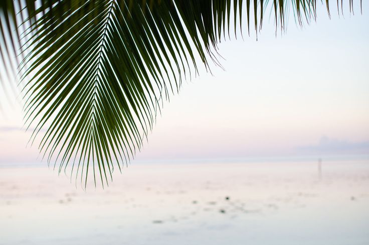 Moorea - Polynésie
