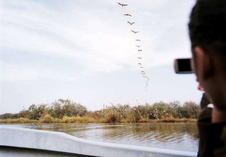 Parc national des oiseaux du Djoudj - Saint-Louis - Sénégal