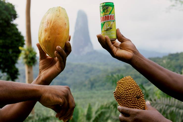 Voyages itinérants São Tomé - Neves - Pico de São Tomé -Porto Alegre
