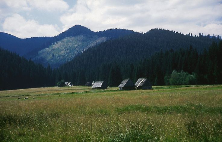 Tatras - Zakopane - Pologne