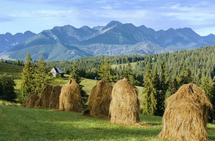 Massif des Tatras - Pologne
