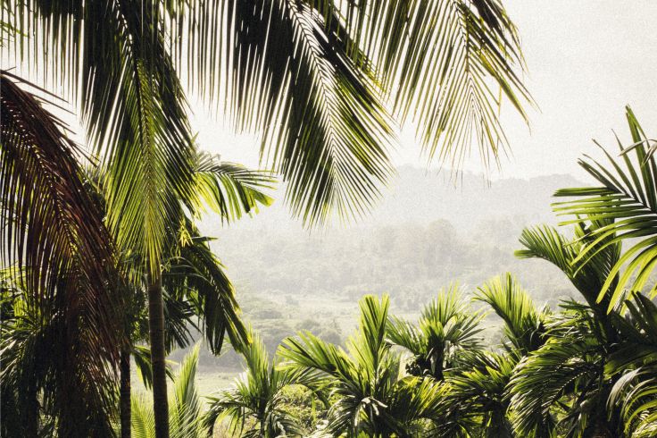 Thaïlande