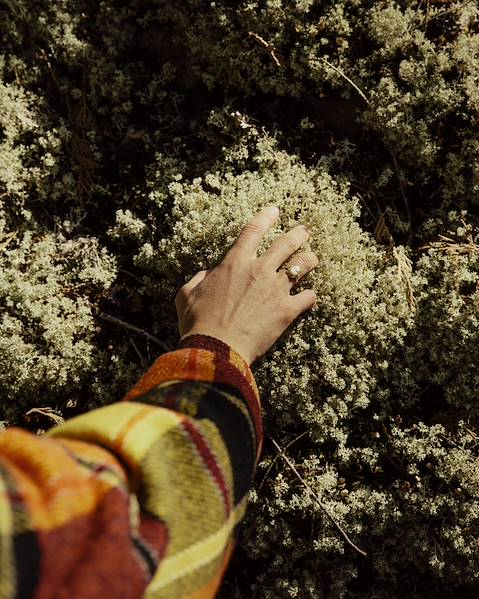 Voyages itinérants Canada - Québec - Montréal - Québec - Baie-Saint-Paul