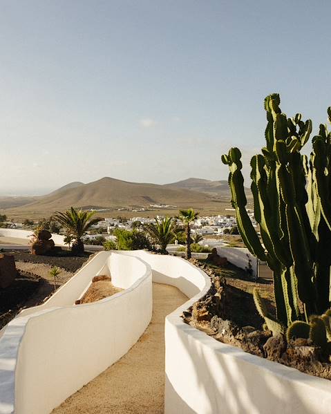 Séjours Lanzarote - région viticole de La Geria