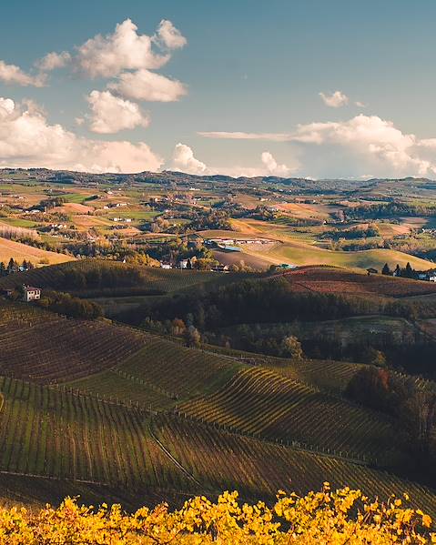 Voyages itinérants Italie - Turin - La Morra