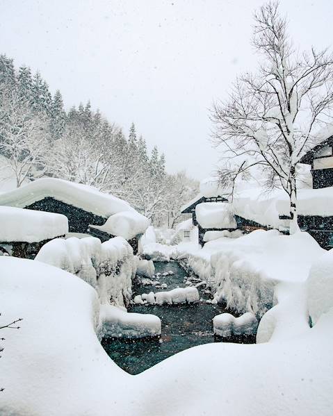 Voyages itinérants Japon - Tokyo - Echigo Yuzawa - Hida Furakawa - Kyoto