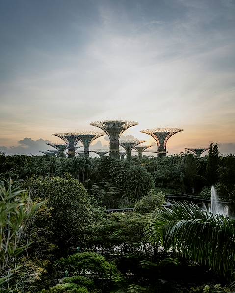 Voyages itinérants Singapour - Malaisie - Malacca - Kuala Lumpur - Taman Negara - Pulau Tengah