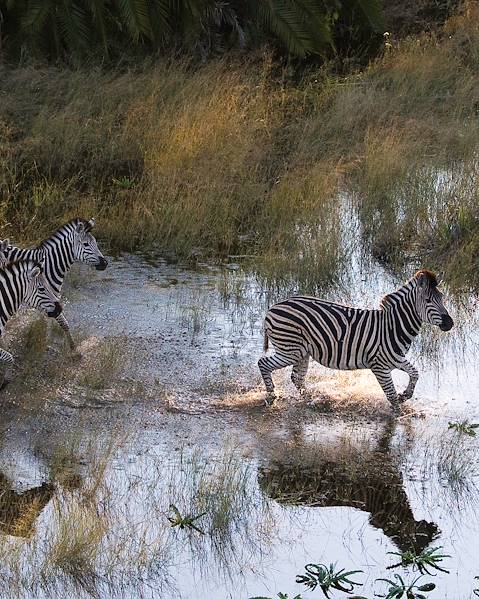 Rundreisen Namibia - Etosha - Kavango - Chobe - Victoriafälle