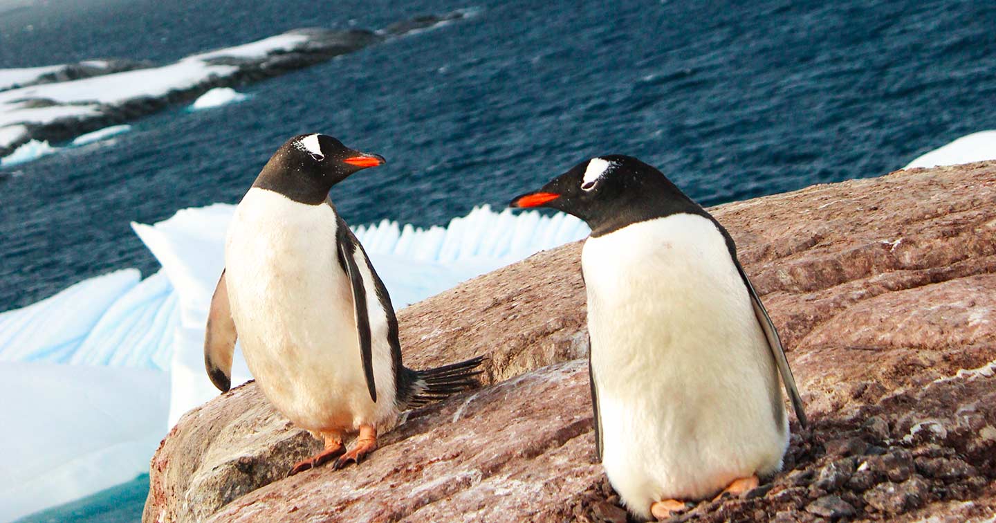 Vacances d'été Antarctique