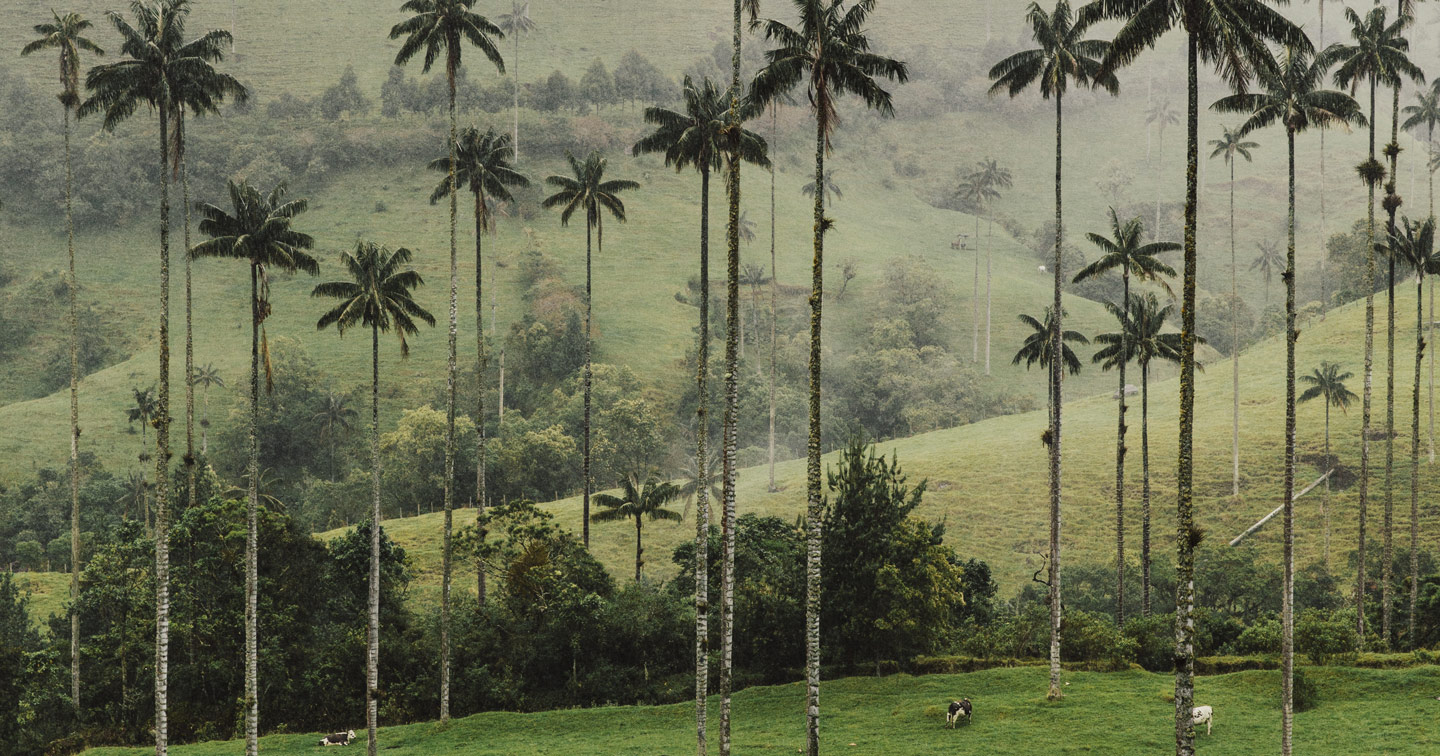 Les grands voyages Colombie