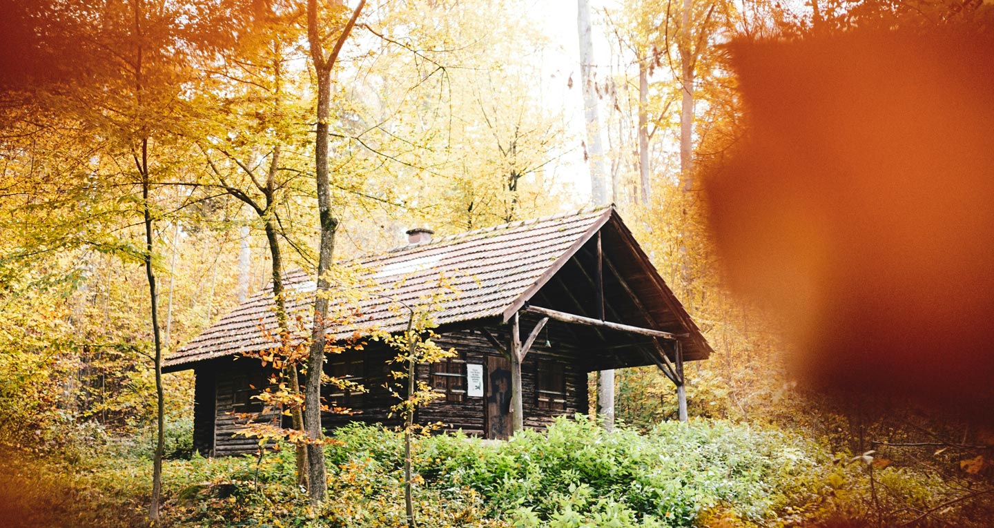 Voyage  Forêt Noire