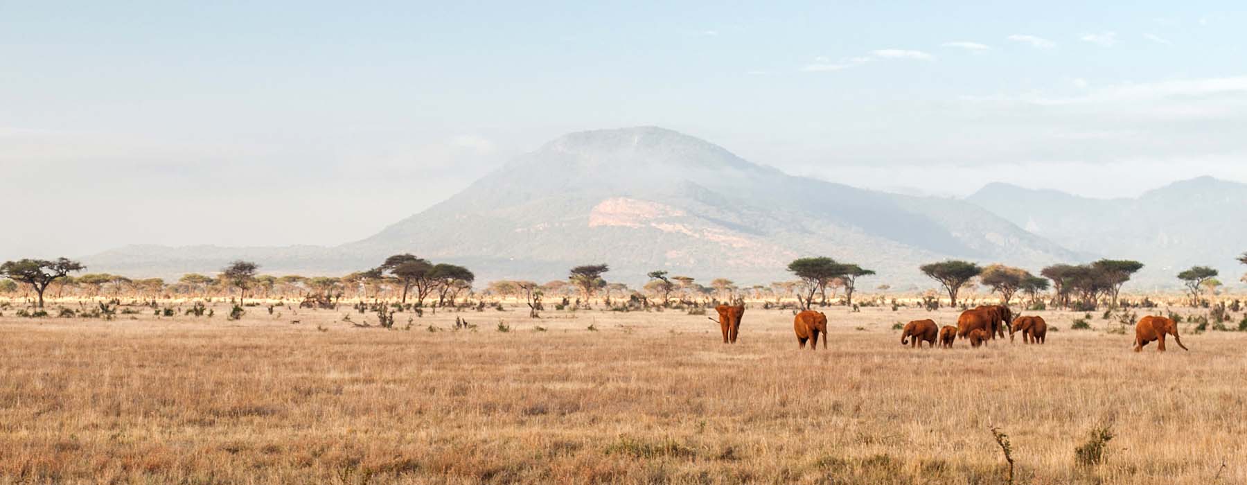 Un petit tour en ville Kenya