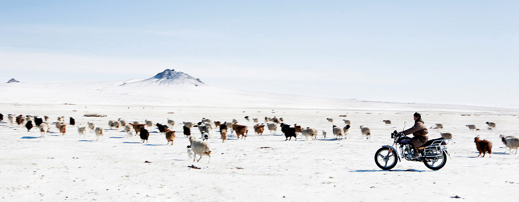 Tour du monde Mongolie