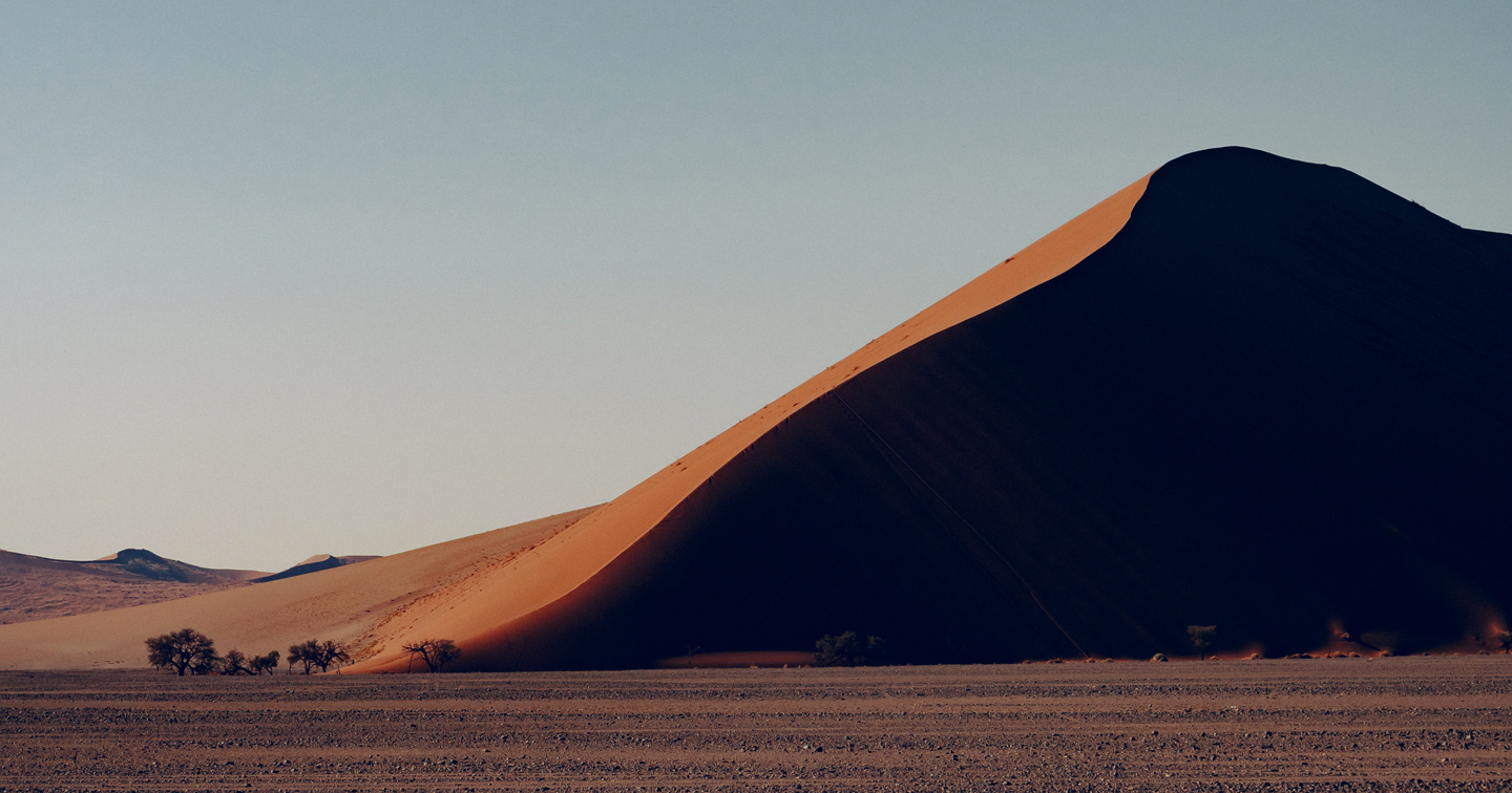 Safari Namibie