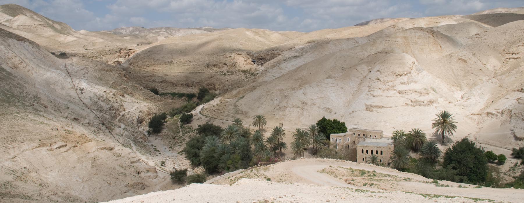 Un petit tour en ville Palestine