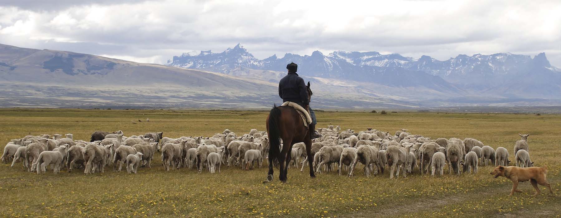 Voyage  Patagonie Chilienne