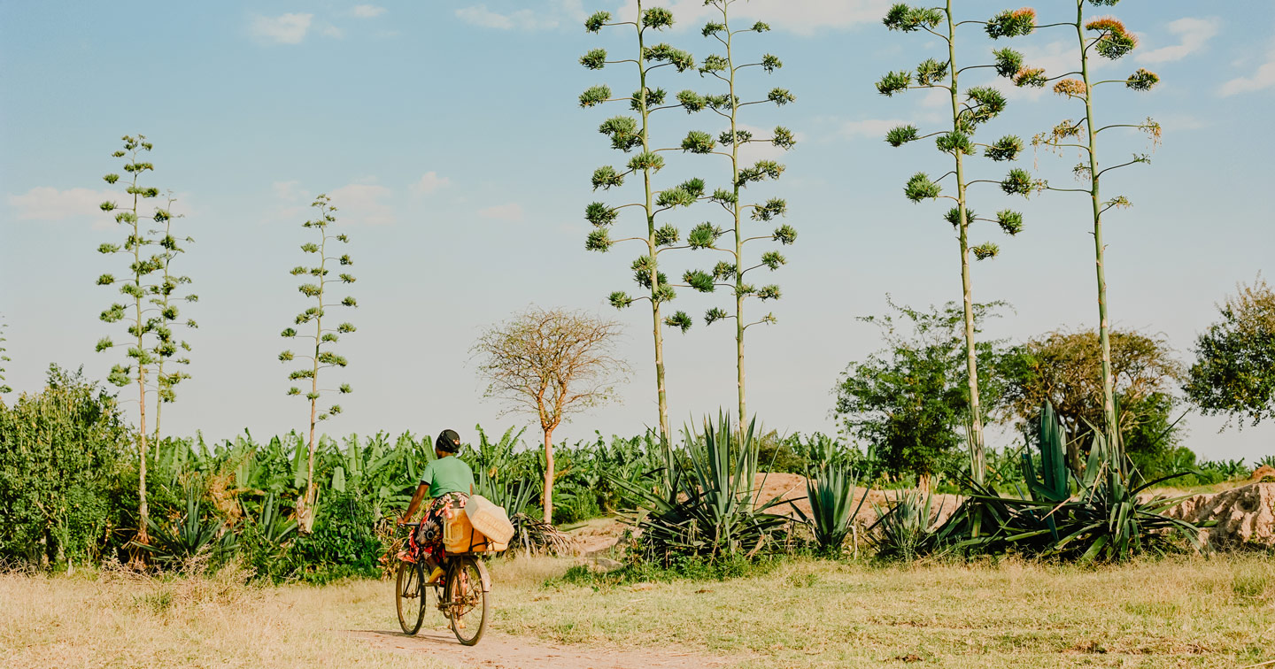 Vacances d'été Rwanda