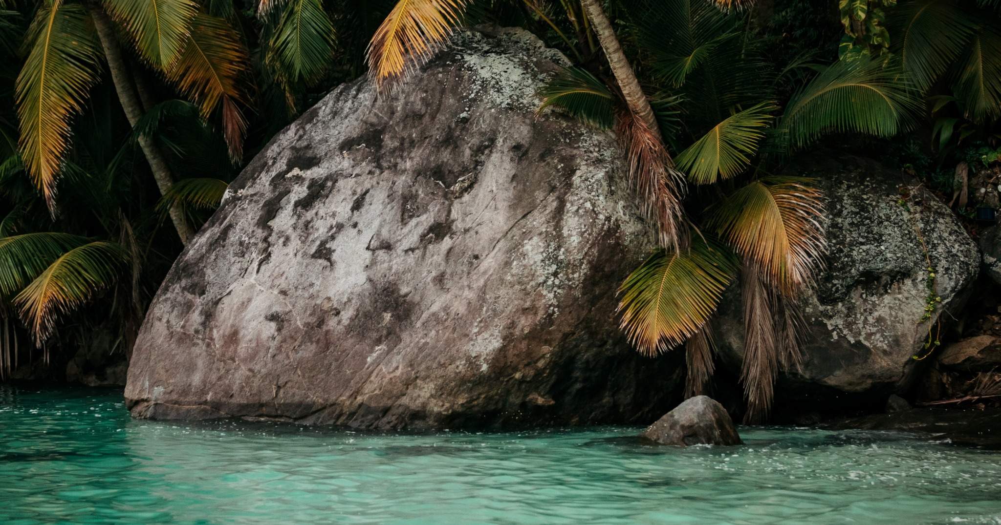 Vacances d'été Seychelles