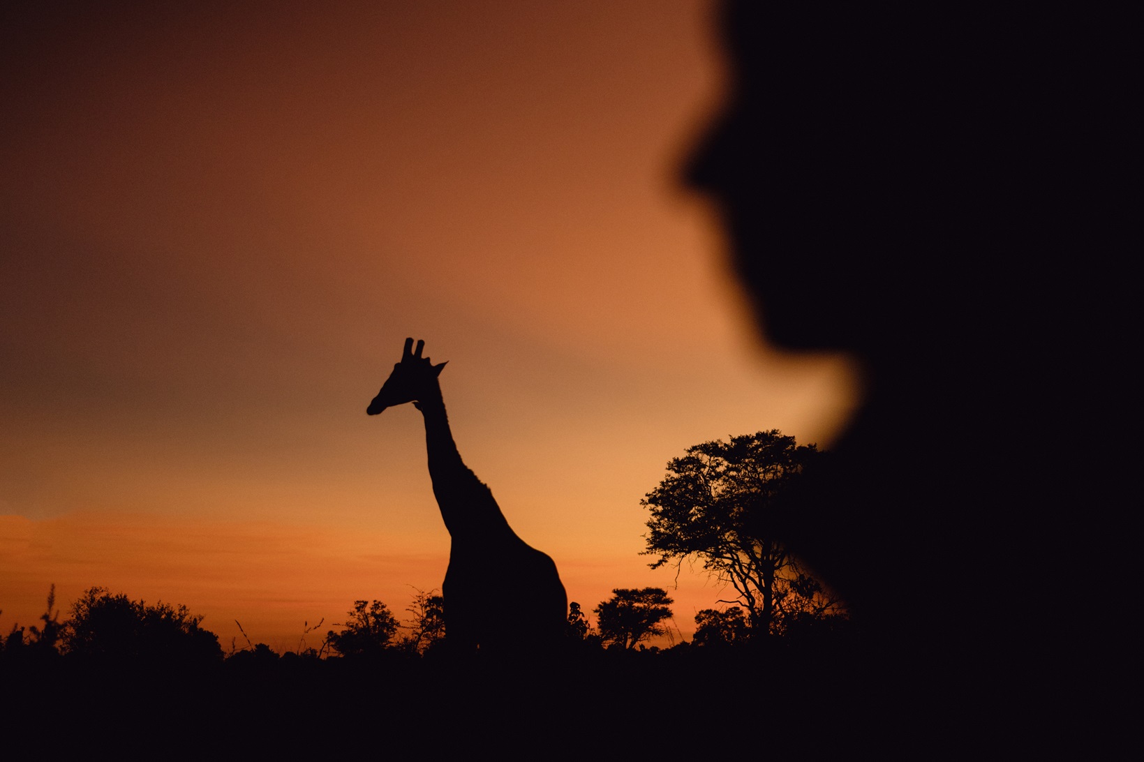 Vacances de Pâques Tanzanie