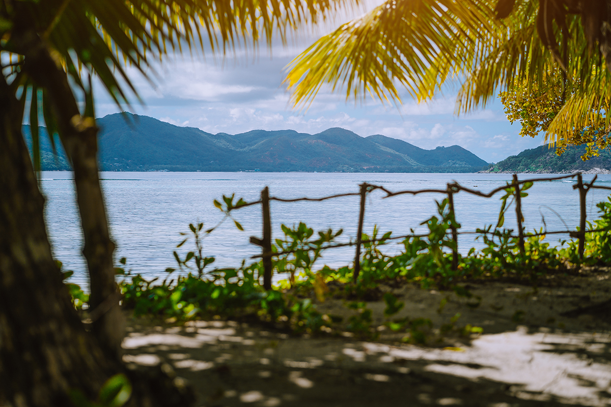 Bord de mer La Digue