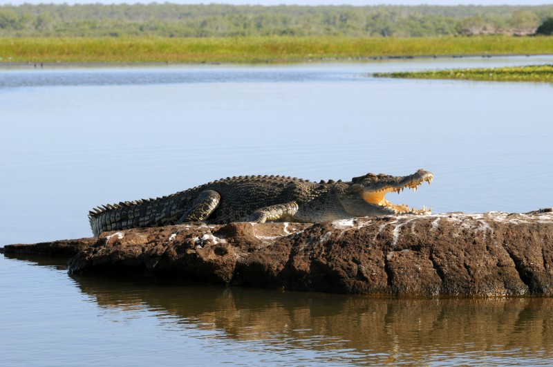 Davidson's Arnhem Land Safaris