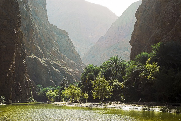 Vue du Wadi Tiwi