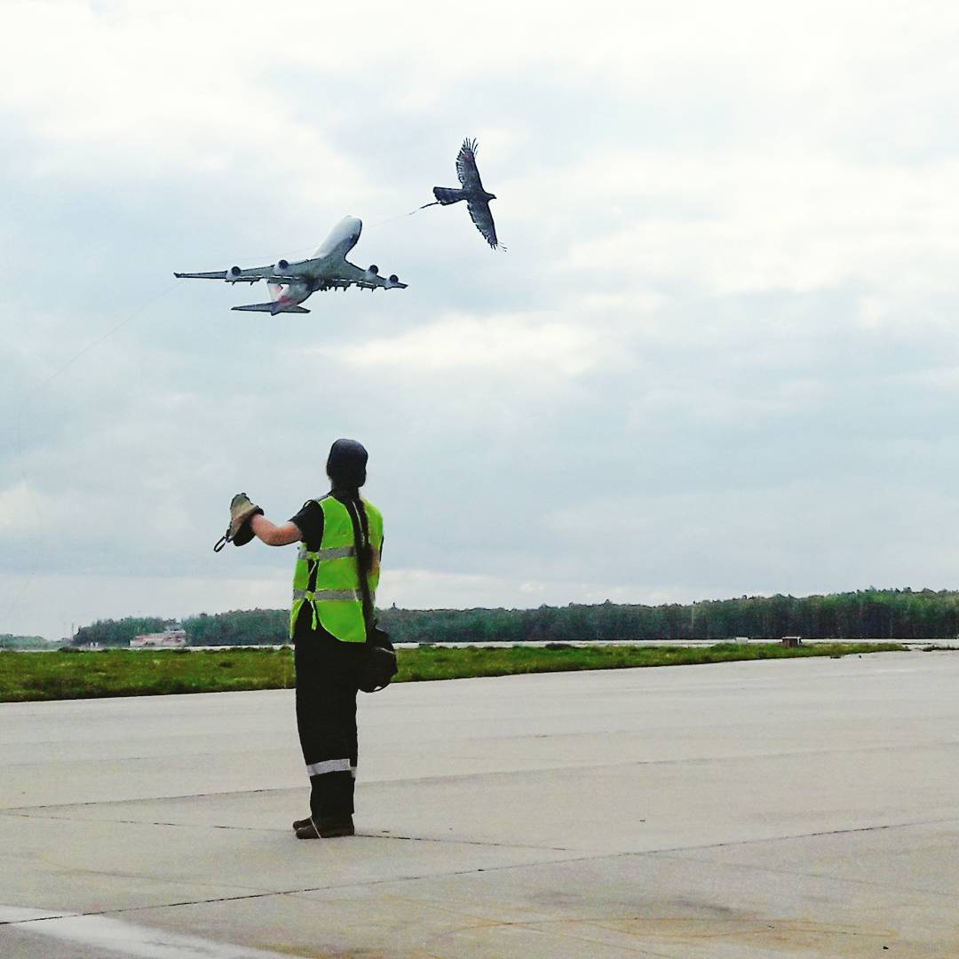 Aéroport de Moscou