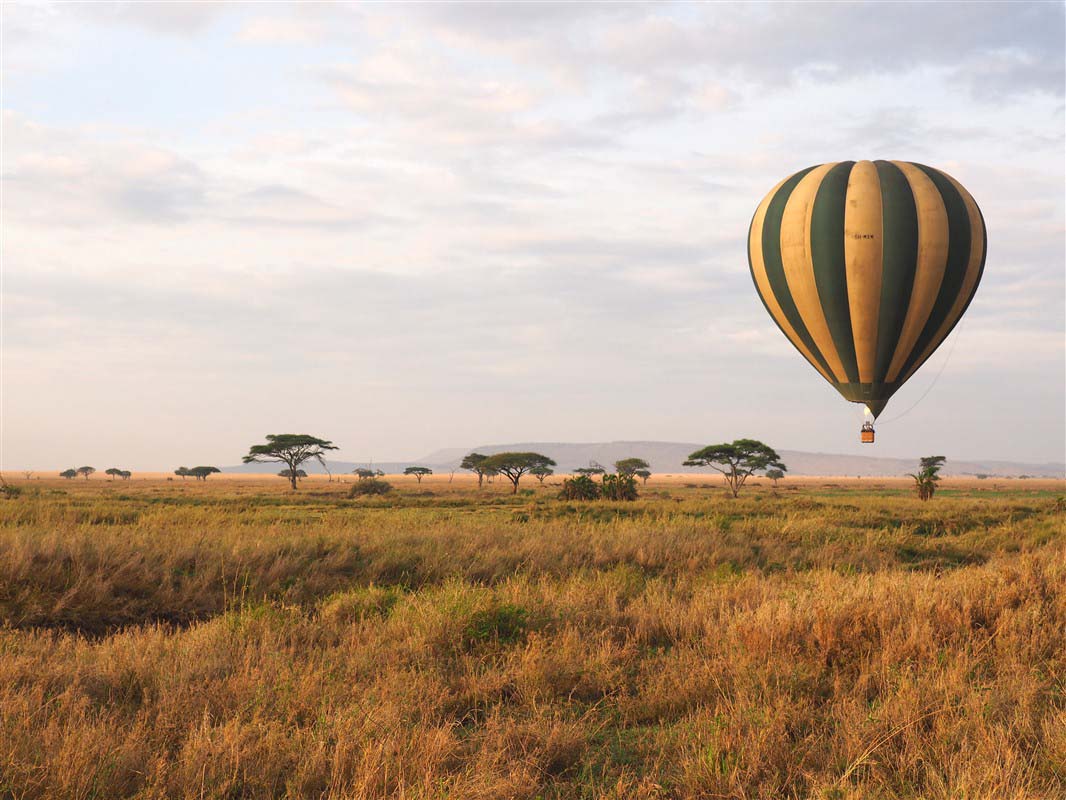 Ngorongoro