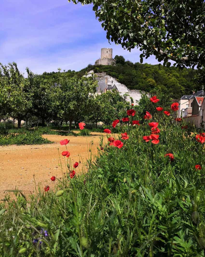 Chateau de La Roche-Guyon