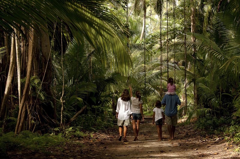 Jungle de l'île de Denis