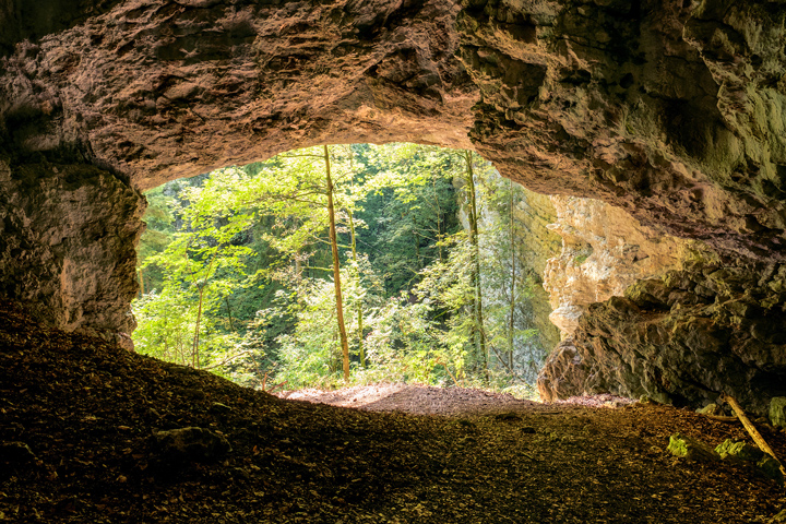 gorges de Pokljuka