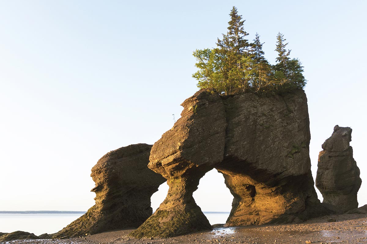 Hopewell Rocks