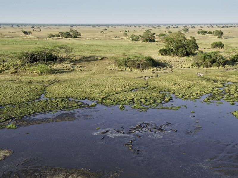 Paysages de Kafue Flats