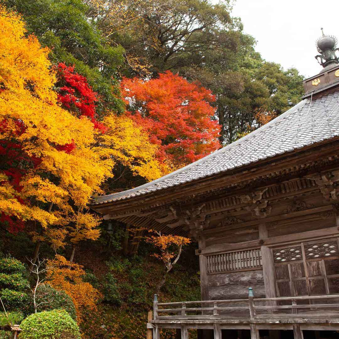 Kinosaki Onsen