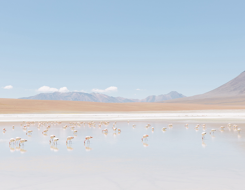 Laguna Hedionda