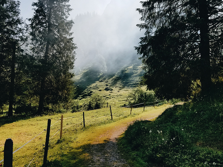 vallée de Logarska Dolina