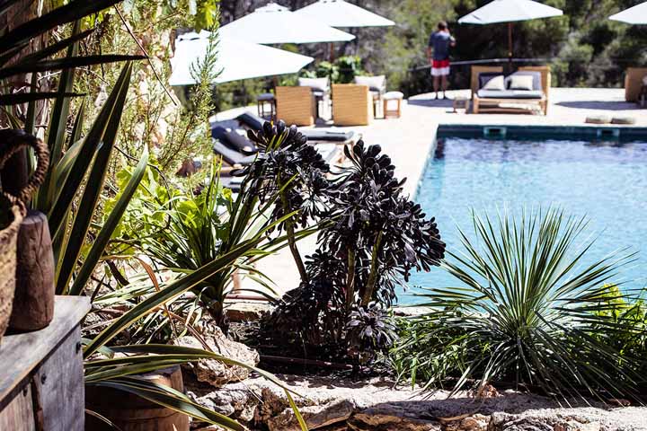 Piscine dans un jardin d'Ibiza