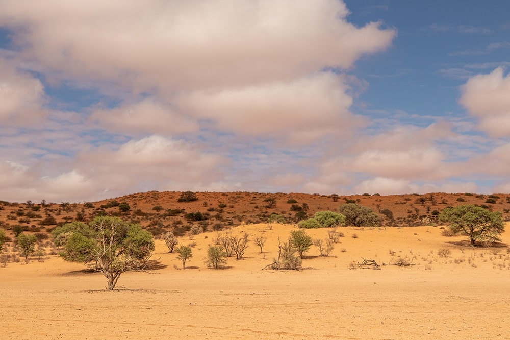 Central Kalahari Reserve